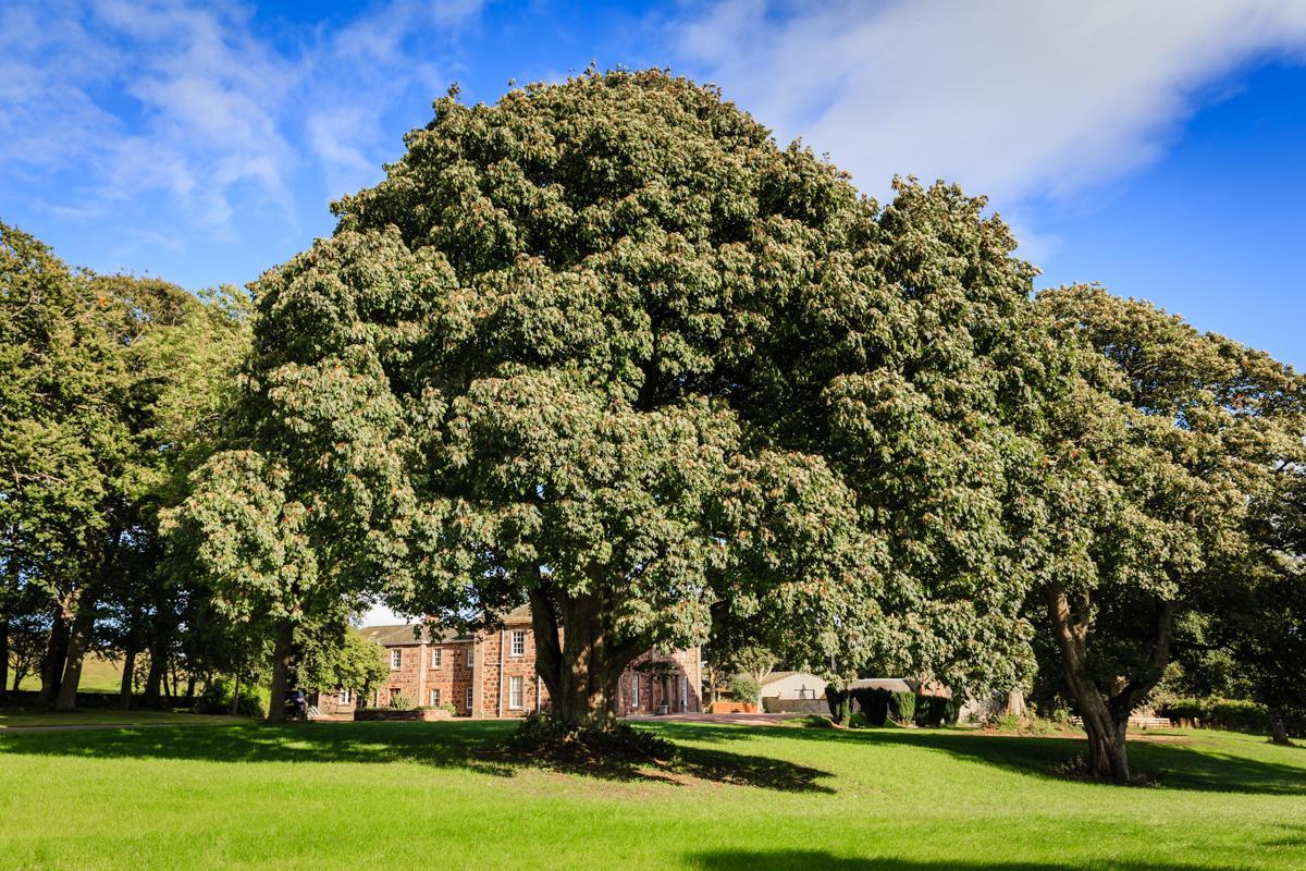 Lunan House Arbroath Extérieur photo